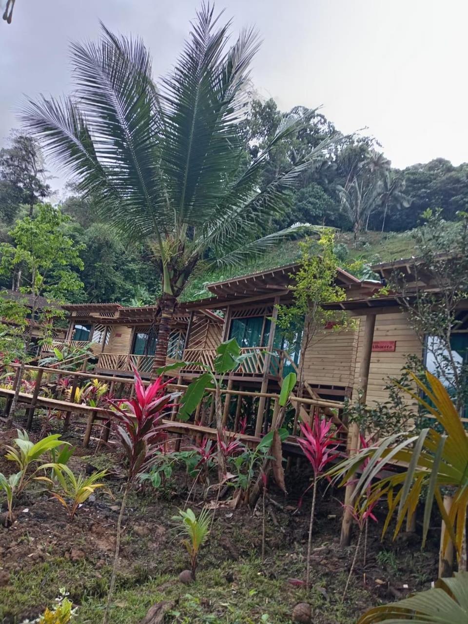 Pacific Nuqui Lodge Esterno foto